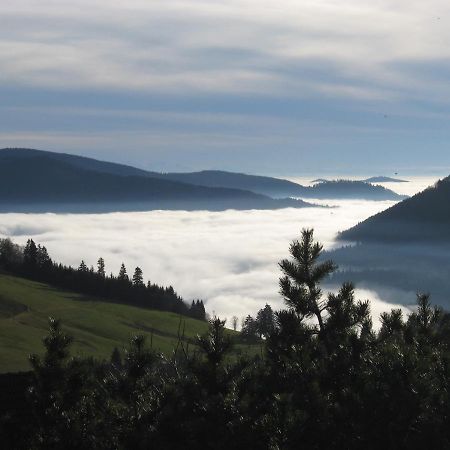 Schoene Aussicht Todtnau Extérieur photo