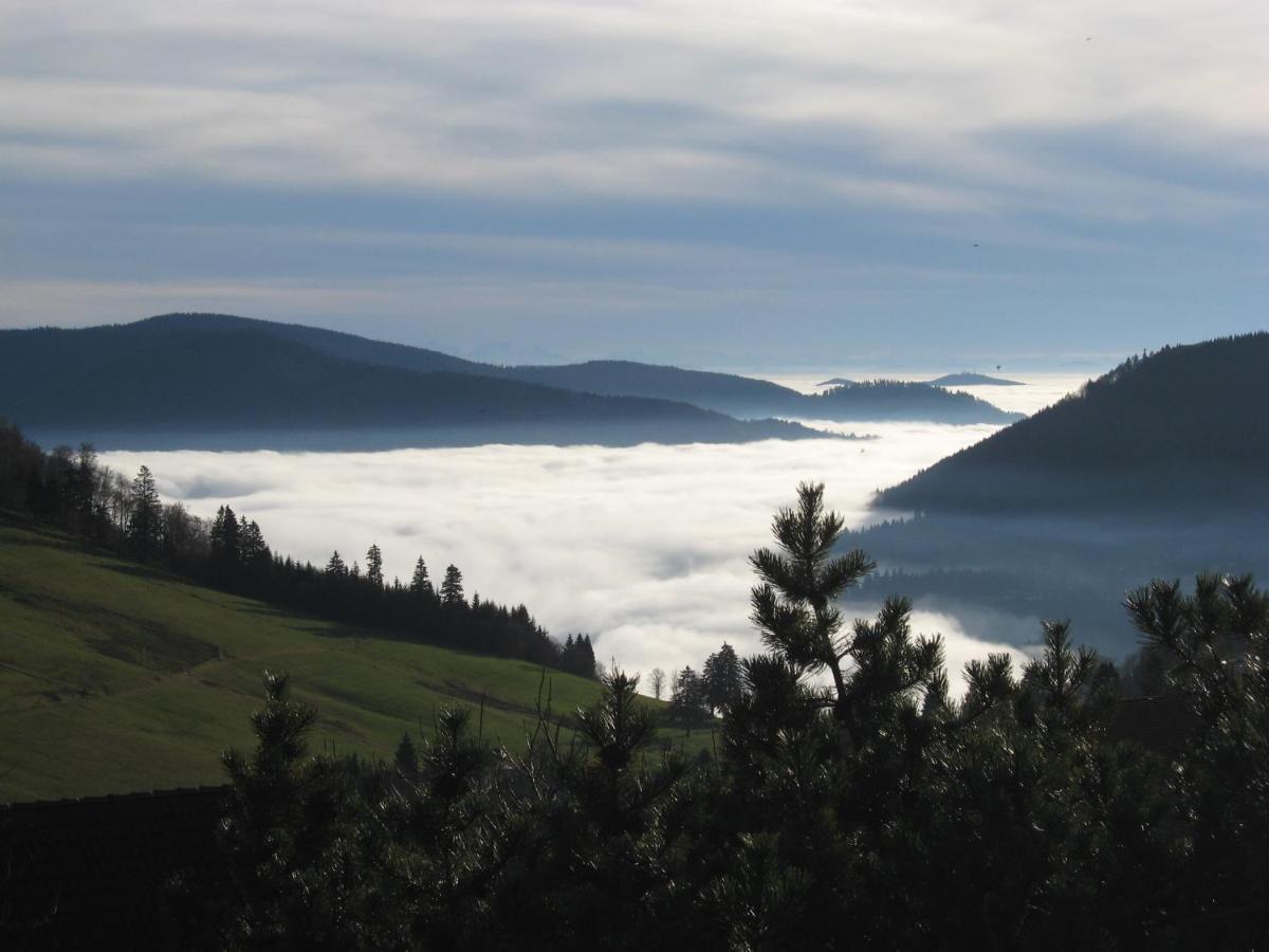 Schoene Aussicht Todtnau Extérieur photo