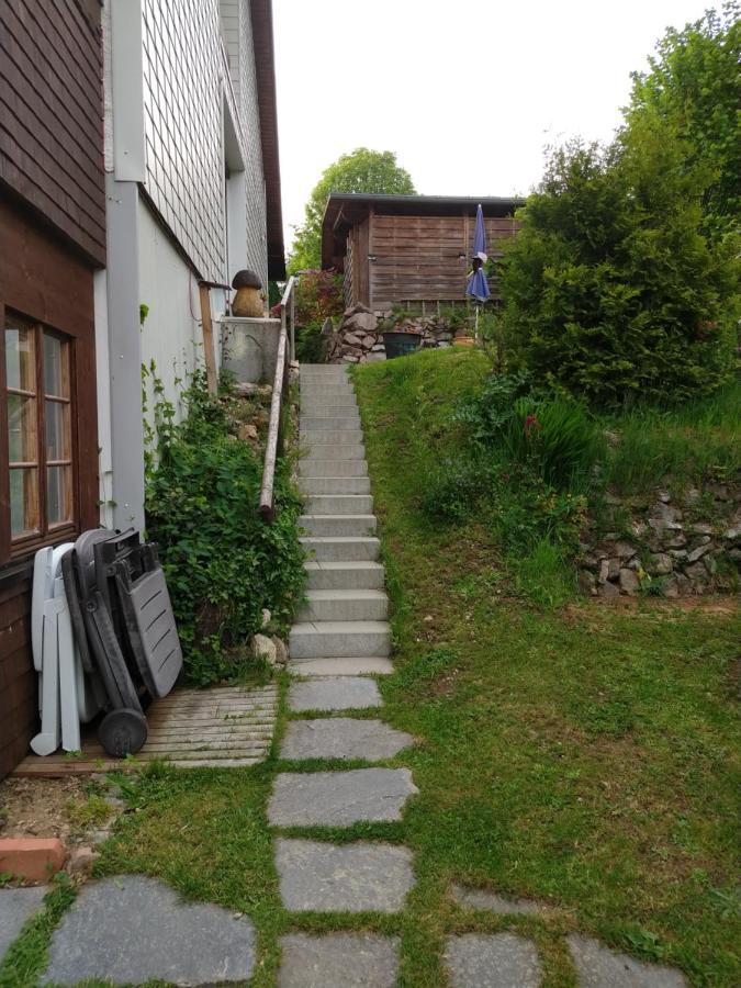 Schoene Aussicht Todtnau Extérieur photo