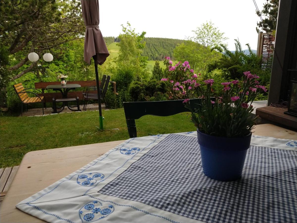 Schoene Aussicht Todtnau Extérieur photo