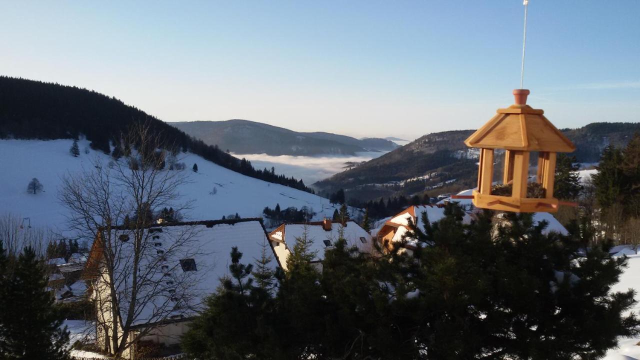 Schoene Aussicht Todtnau Extérieur photo
