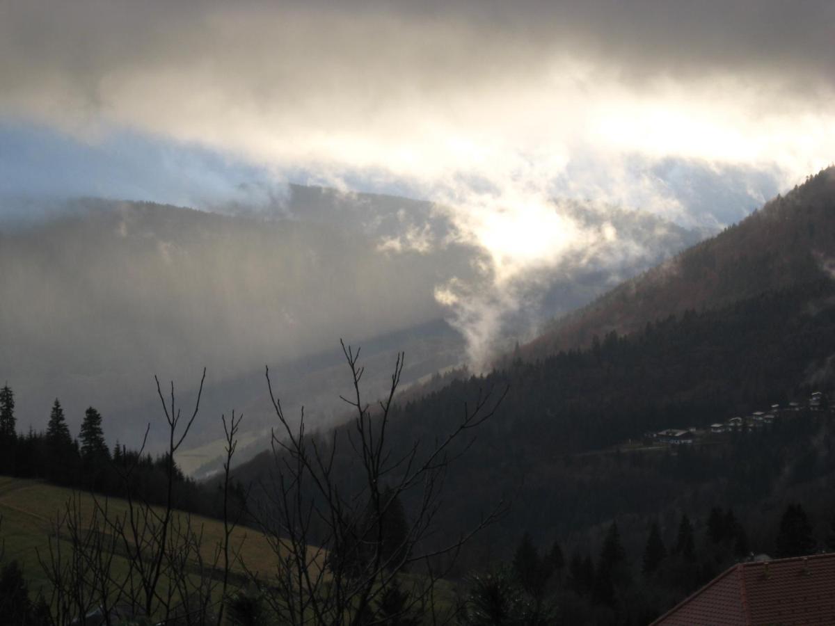 Schoene Aussicht Todtnau Extérieur photo