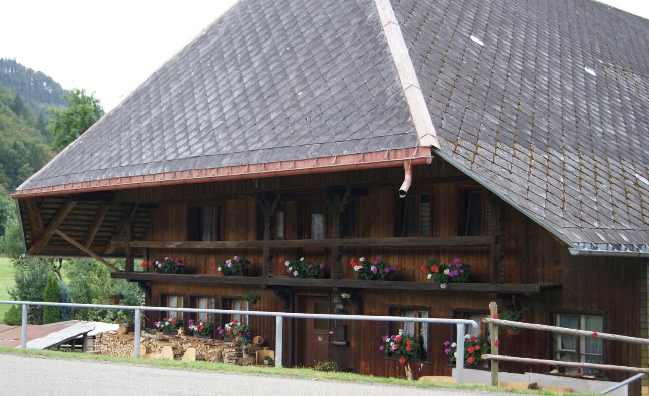Schoene Aussicht Todtnau Extérieur photo