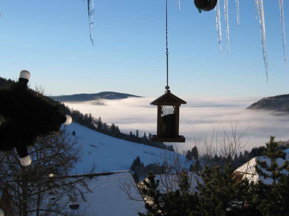 Schoene Aussicht Todtnau Extérieur photo