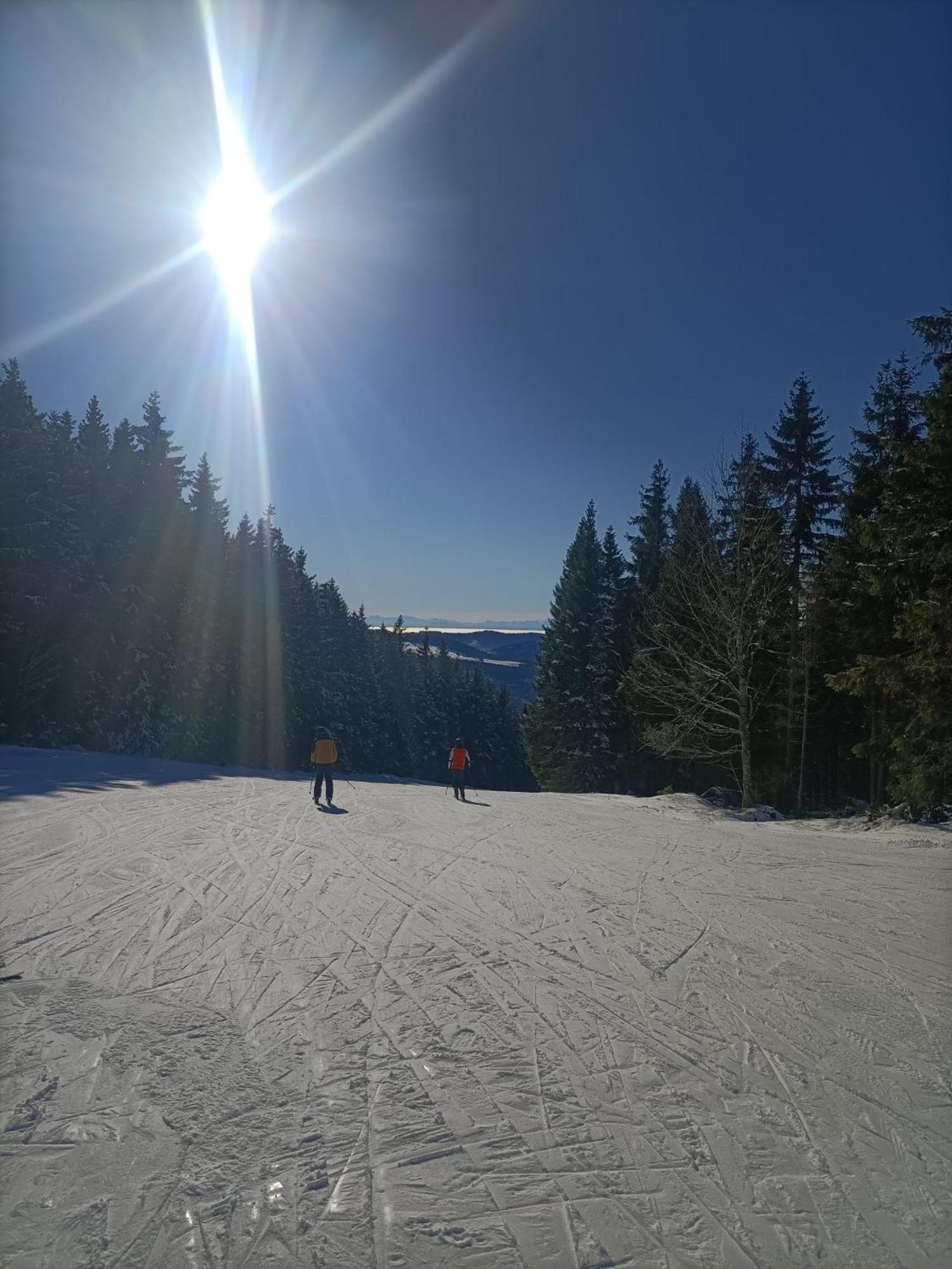 Schoene Aussicht Todtnau Extérieur photo